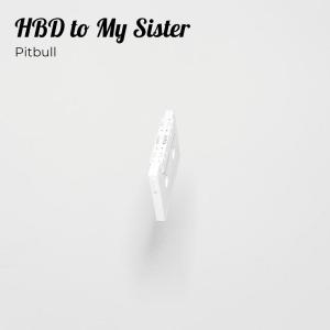 HBD to My Sister dari Pitbull