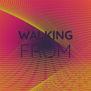 收聽Anat Boet的Walking From歌詞歌曲