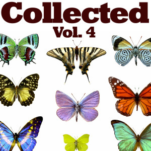 Various的專輯Collected Vol. 4
