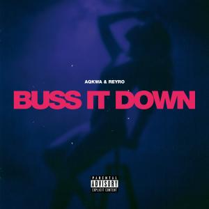 ดาวน์โหลดและฟังเพลง Buss It Down (Explicit) พร้อมเนื้อเพลงจาก Aqkwa