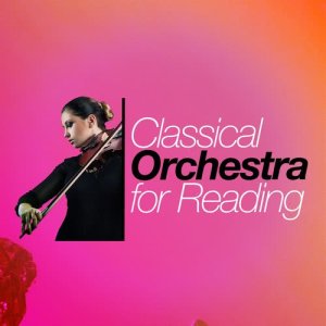 ดาวน์โหลดและฟังเพลง Gabriel's Oboe พร้อมเนื้อเพลงจาก Up North Session Orchestra