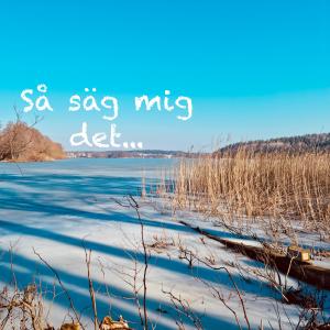 อัลบัม Så säg mig det (feat. Lodn) ศิลปิน Loden