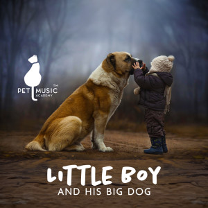 Album Little Boy and His Big Dog from Pet Music Academy