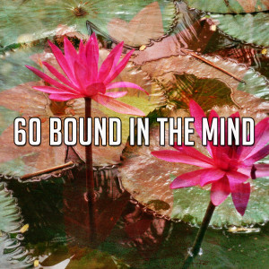 Listen to Process Information in Your Mind song with lyrics from Classical Study Music
