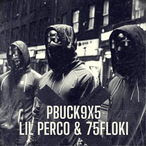 Pbuck9x5的專輯Function (feat. 75 FLOKI & Lil Perco) [Remix] (Explicit)
