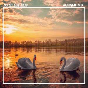 Listen to ITS MY LIFE 2023 (Remix) song with lyrics from AGNGMHMD