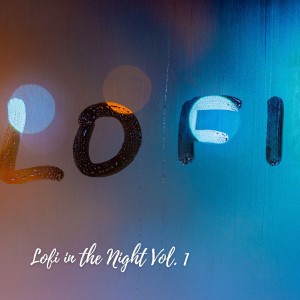 Album Lofi in the Night Vol. 1 oleh Hip Hop Lofi