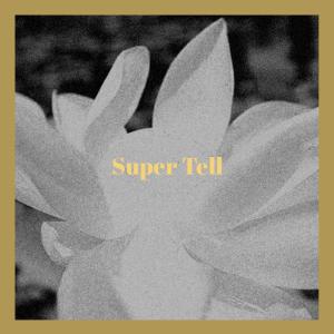 Various的专辑Super Tell
