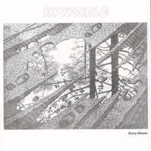 收聽Invisible的Suspensión歌詞歌曲