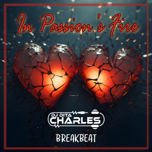 Album In Passion's Fire from DJ Dita Charles
