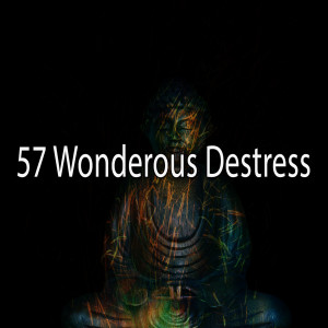 Album 57 Wonderous Destress oleh Music for Quiet Moments