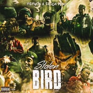 อัลบัม Stolen Bird (feat. 2Rich Peso) (Explicit) ศิลปิน M2M Von