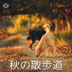 收聽ALL BGM CHANNEL的Flotte (feat. sorateras)歌詞歌曲