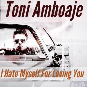 收聽Toni Amboajé的I Hate Myself for Loving You (Dave Matthias Vocal Dub Remix)歌詞歌曲