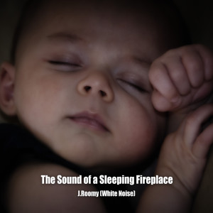 收听J.Roomy的The Sound of a Sleeping Fireplace歌词歌曲