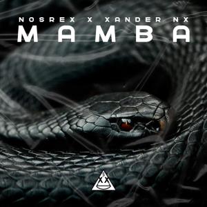ดาวน์โหลดและฟังเพลง Mamba (feat. Xander NX) (Explicit) พร้อมเนื้อเพลงจาก nosrex