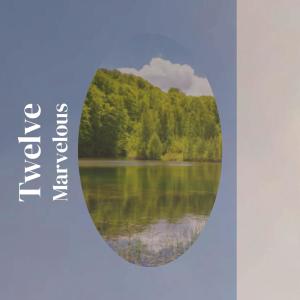 อัลบัม Twelve Marvelous ศิลปิน Various