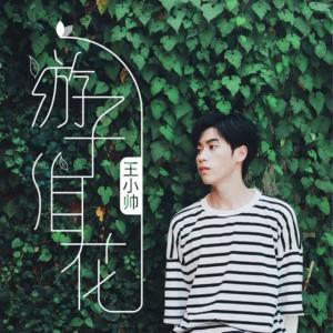 收聽王小帥的遊子淚花歌詞歌曲