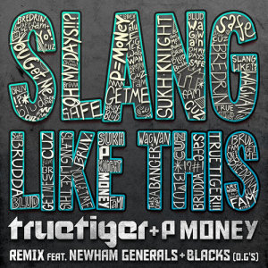 收聽True Tiger的Slang Like This (Radio Edit)歌詞歌曲