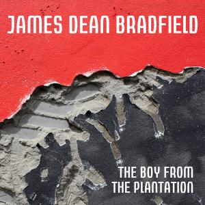收聽James Dean Bradfield的THE BOY FROM THE PLANTATION歌詞歌曲