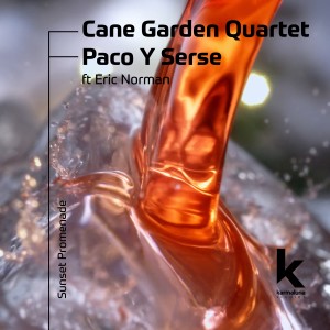 อัลบัม Sunset Promenade ศิลปิน Cane Garden Quartet