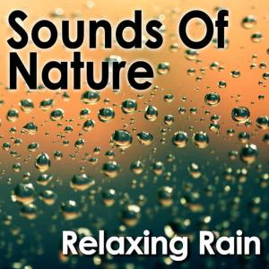 ดาวน์โหลดและฟังเพลง Heavier Wind and Rain พร้อมเนื้อเพลงจาก Pro Sound Effects Library