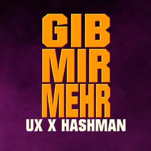 ดาวน์โหลดและฟังเพลง Gib Mir Mehr (Explicit) พร้อมเนื้อเพลงจาก Hashman