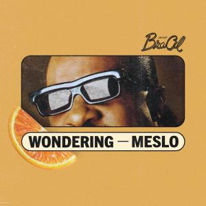 Listen to Wondering song with lyrics from Meslo