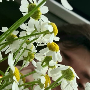 ดาวน์โหลดและฟังเพลง Помоги พร้อมเนื้อเพลงจาก тебенельзя