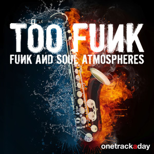 Too Funk (Funk and Soul Atmospheres) dari Too Funk Project