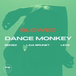 收聽Laia Brunet的Dance Monkey (Slowed)歌詞歌曲