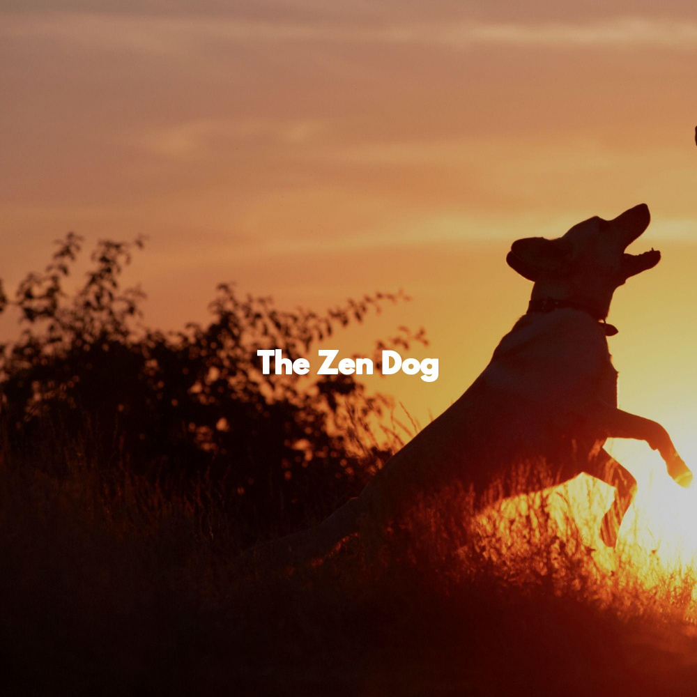 Breathtaking Ambiance for Friendly Doggy Days