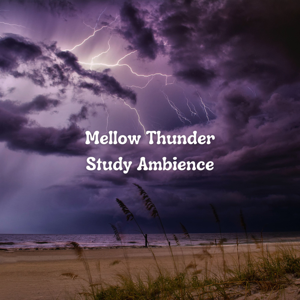 Relaxing Rain Weather Binaural Sound