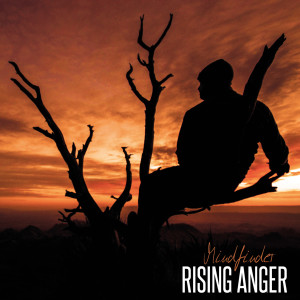 ดาวน์โหลดและฟังเพลง Like Vultures พร้อมเนื้อเพลงจาก Rising Anger