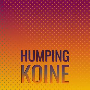 อัลบัม Humping Koine ศิลปิน Various Artists