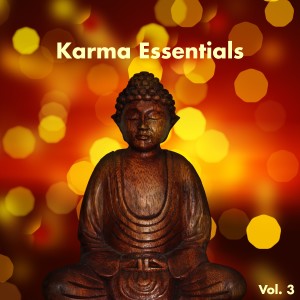 อัลบัม Karma Essentials Vol. 3 ศิลปิน Various Artists