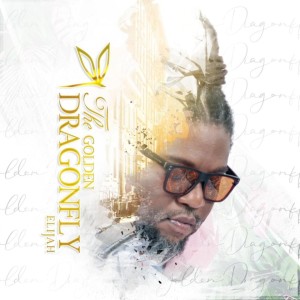 Listen to Rock with You (feat. King Shadrock) song with lyrics from Elijah Seychelles