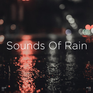 收聽Meditation Rain Sounds的Rain Sound歌詞歌曲