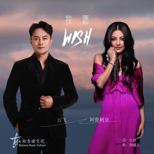 Album 我愿 from 云飞