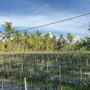 Dengarkan The Weight of Silence lagu dari Prabu Zabha dengan lirik