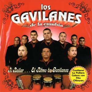 收聽Los Gavilanes de la cumbia的Cabellos Largos歌詞歌曲