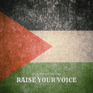收聽Seth Staton Watkins的Raise Your Voice歌詞歌曲