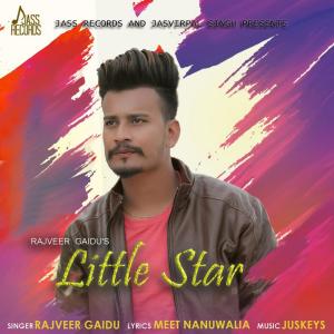 收听Rajveer Gaidu的Little Star歌词歌曲