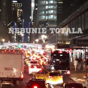 Signum的專輯Nebunie totala
