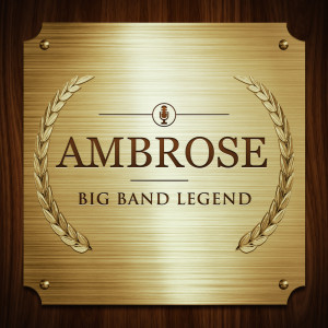 Listen to There Isn't Any Limit To My Love song with lyrics from Ambrose