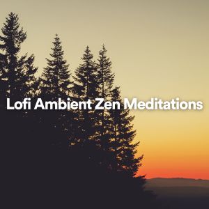Binaural Beats Sleep的专辑Lofi Ambient Zen Meditations
