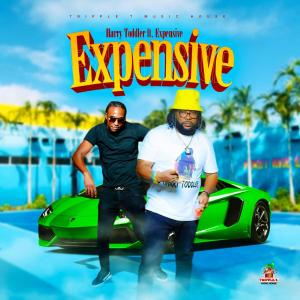 Harry Toddler的專輯Expensive (feat. Expensive)