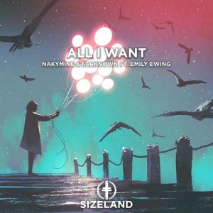 NakyMine的專輯All I Want