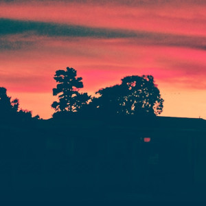 Album Sunset Prelude from D_cntrl