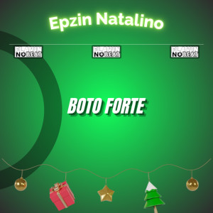 Flávin No Beat的專輯Boto Forte